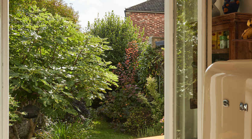 Photo of The White Fox