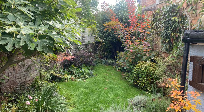 Photo of The White Fox