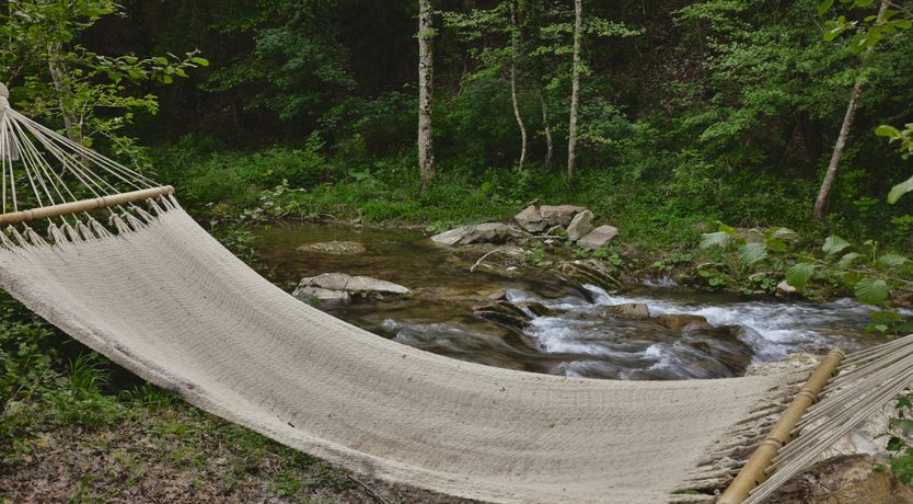 Photo of Cypress Reflections