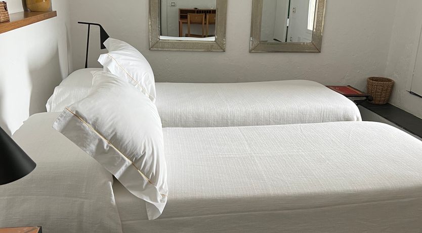 Photo of Lemon Groves