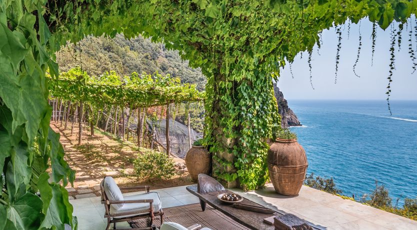 Photo of Lemon Groves