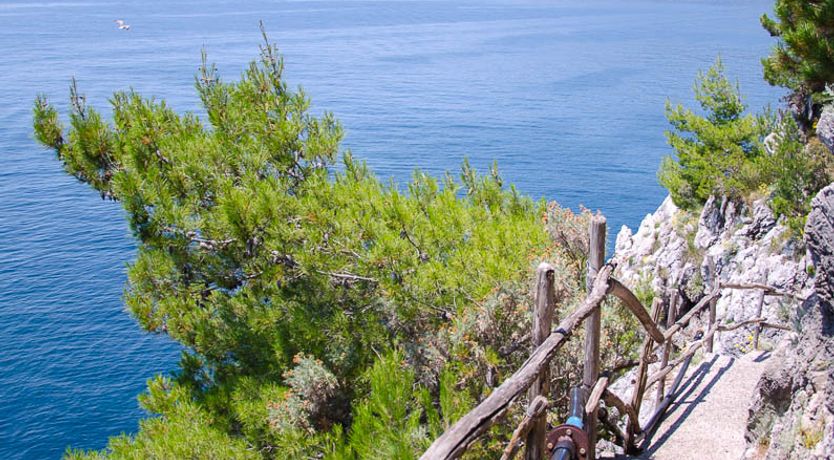 Photo of Lemon Groves