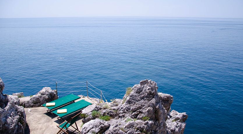 Photo of Lemon Groves