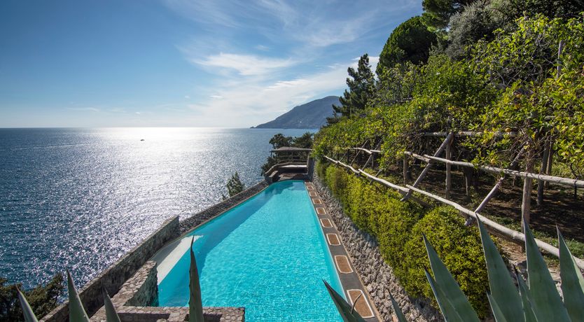 Photo of Lemon Groves