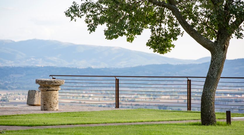 Photo of Peaceful Promise