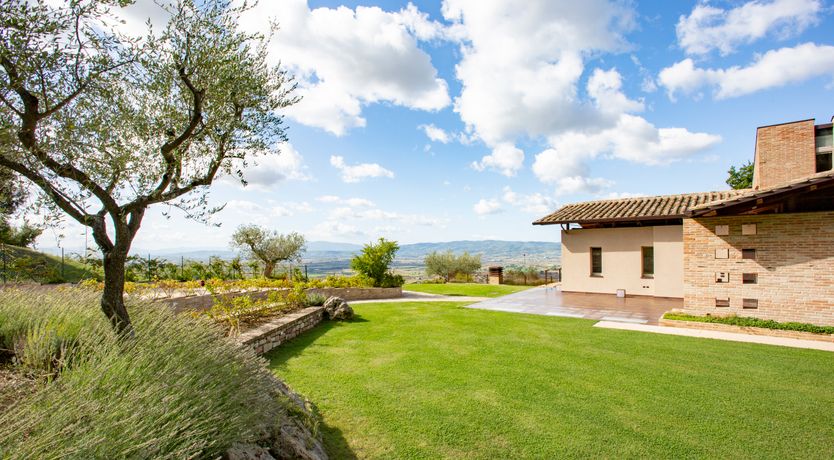 Photo of Peaceful Promise