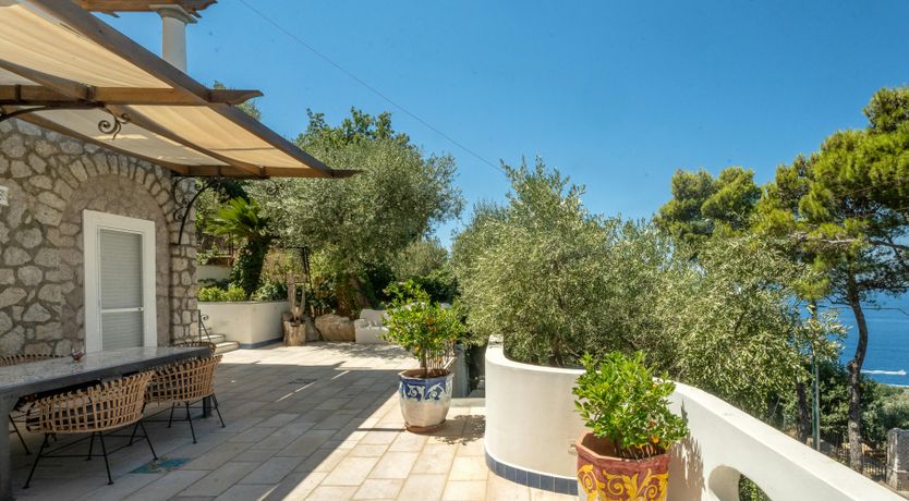 Photo of Capri Colours