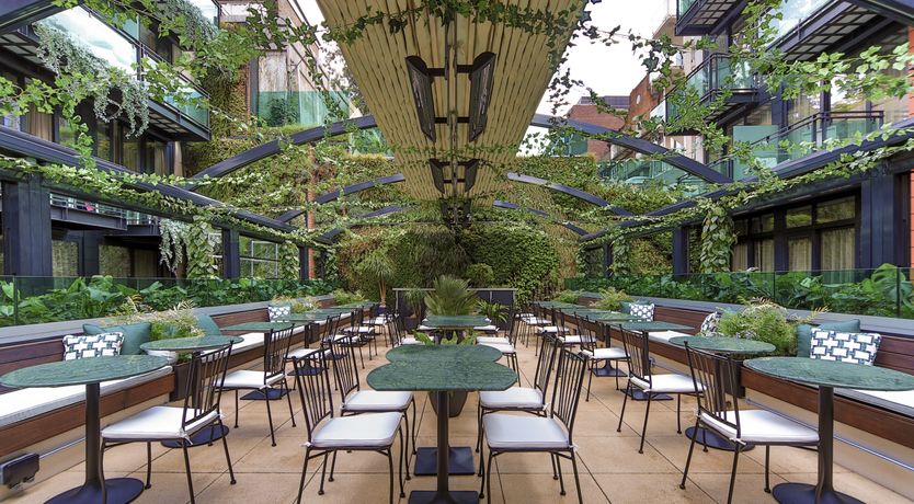 Photo of Spring Blossoms