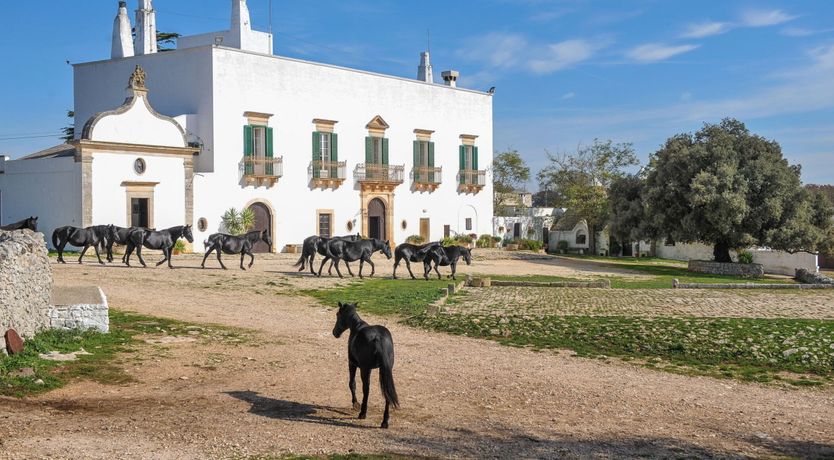 Photo of Apulian Roots
