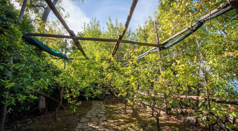 Photo of Italian Soul