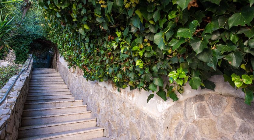 Photo of Italian Soul