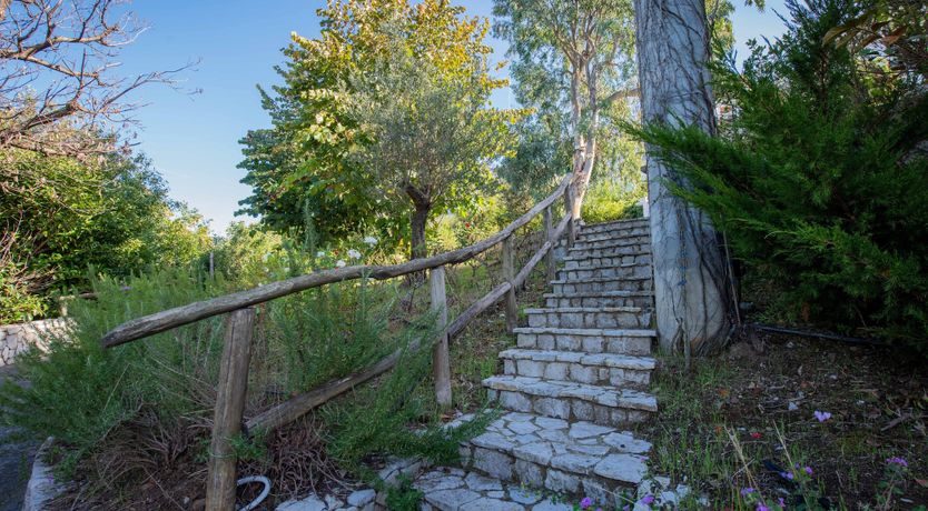 Photo of Italian Soul