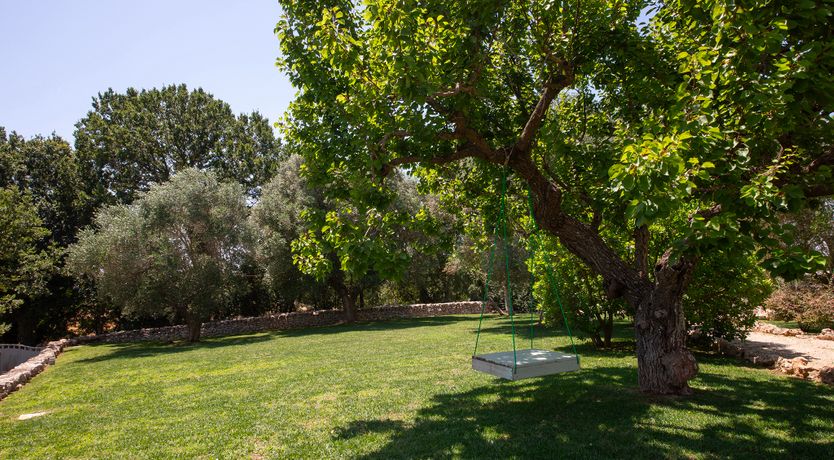 Photo of Sunrise Serenity