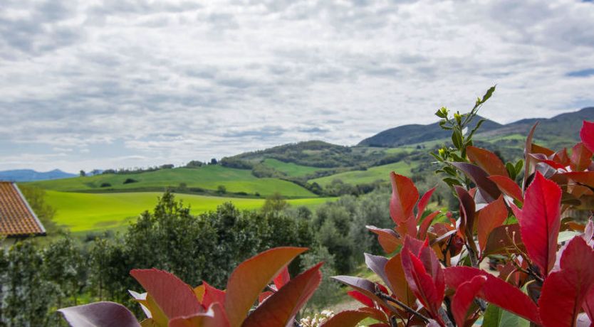 Photo of Giallo Apartment 3