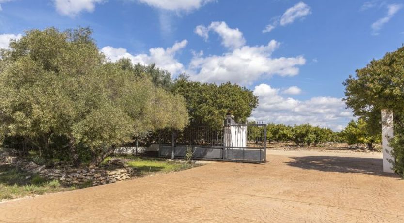 Photo of Hacienda Azahar