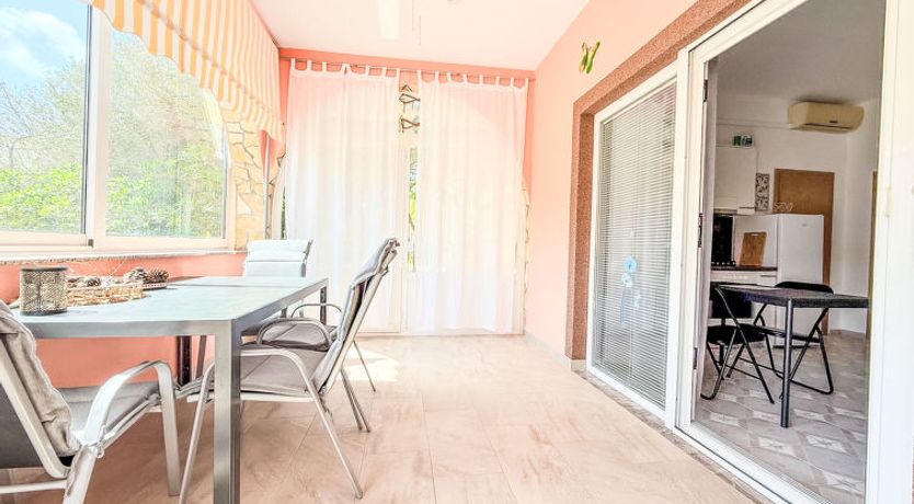 Photo of Nachtigall Vir