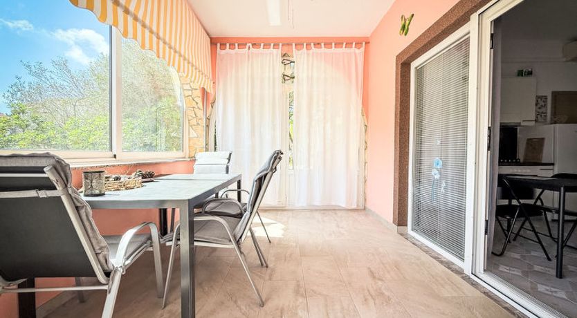 Photo of Nachtigall Vir