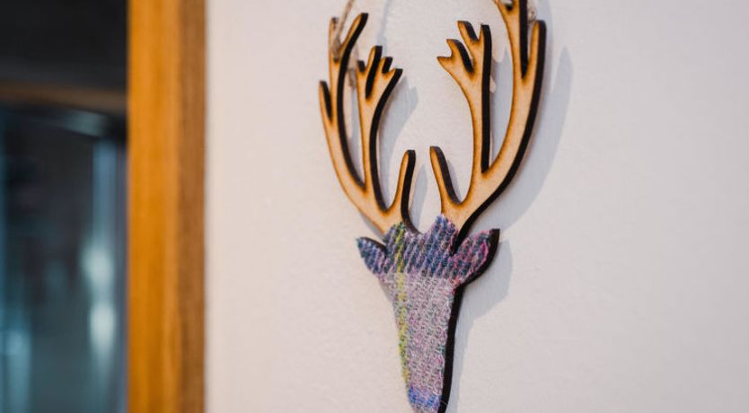 Photo of Oystercatcher