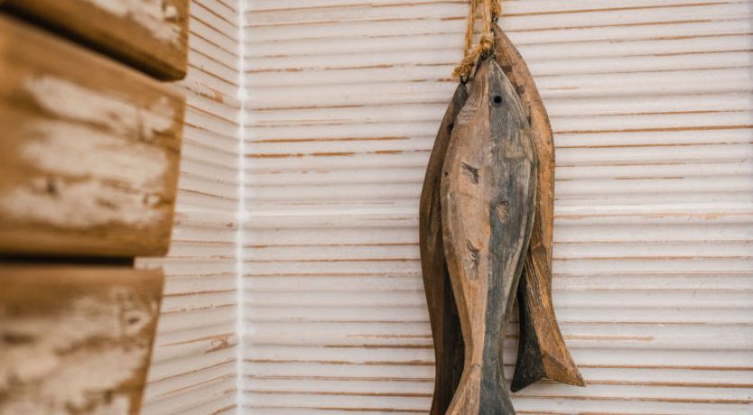 Photo of Oystercatcher