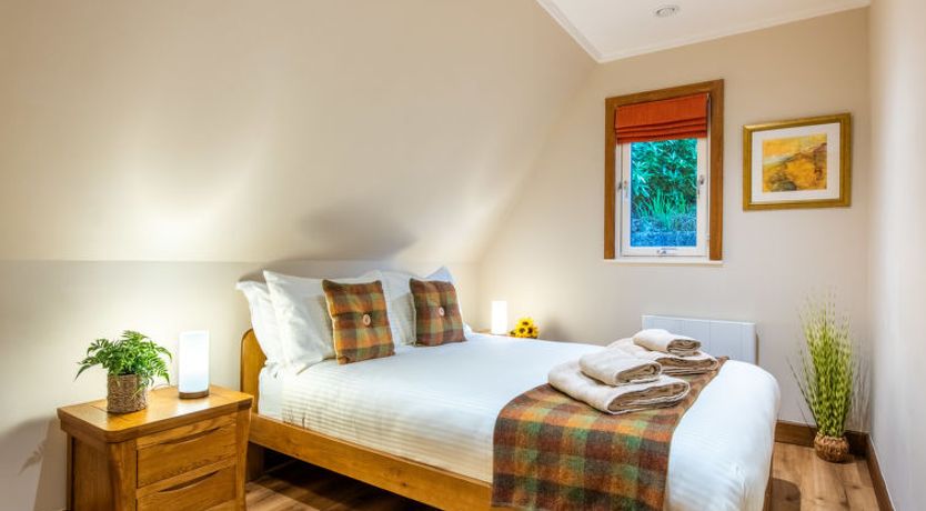 Photo of Oystercatcher