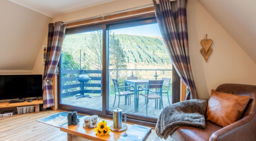 Photo of Oystercatcher