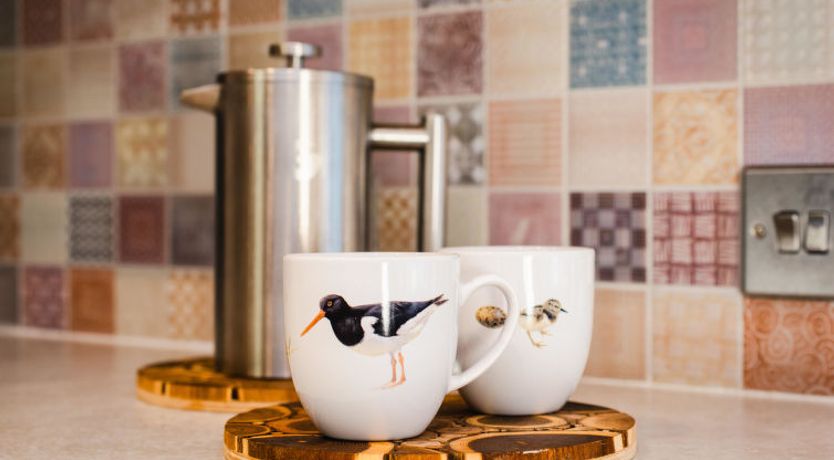 Photo of Oystercatcher