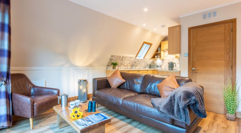 Photo of Oystercatcher