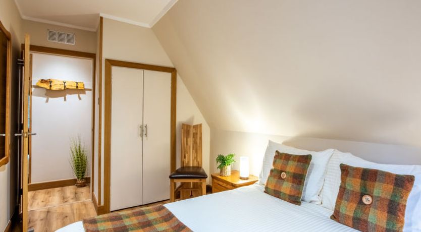 Photo of Oystercatcher