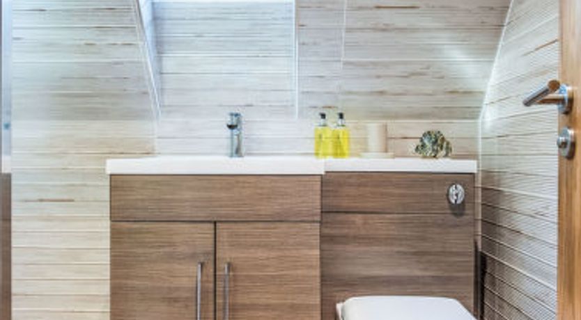 Photo of Oystercatcher