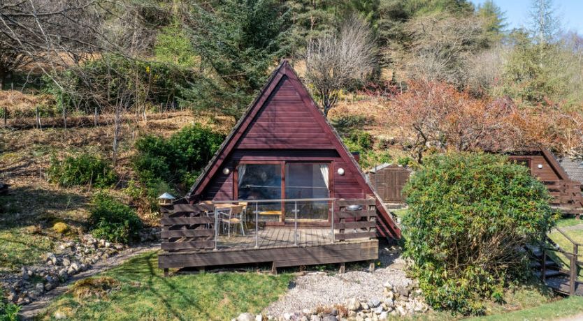 Photo of Oystercatcher