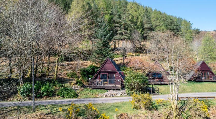 Photo of Oystercatcher