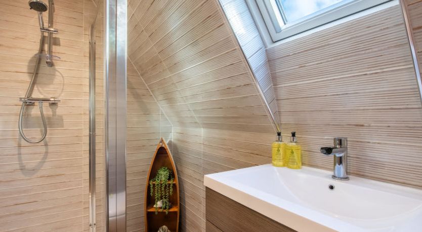 Photo of Oystercatcher