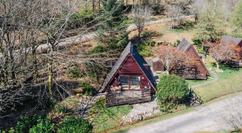 Photo of Oystercatcher