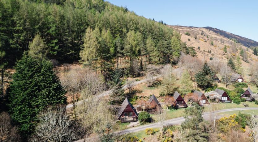 Photo of Oystercatcher