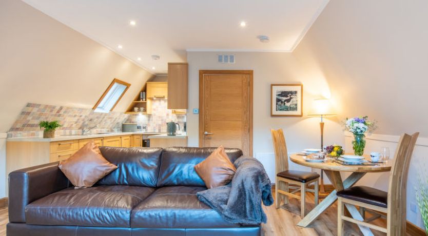 Photo of Oystercatcher