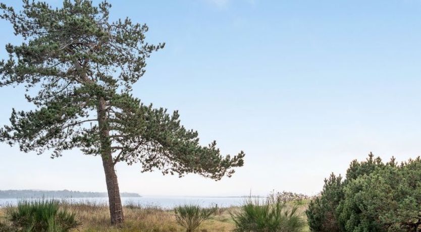 Photo of "Bosilka" - 75m from the sea