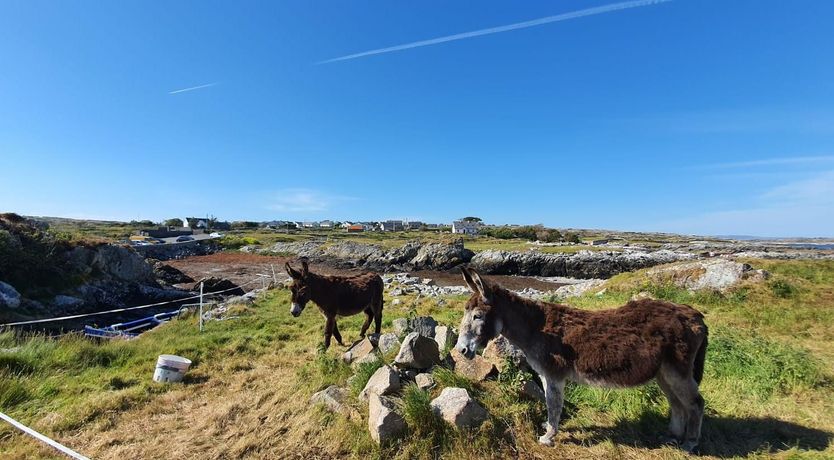 Photo of Sea View Connemara