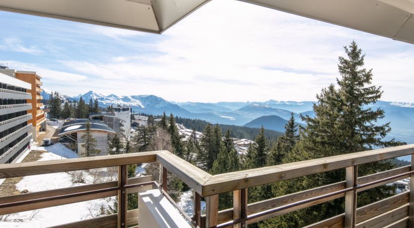 Photo of Les Cytises