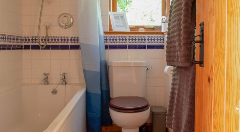 Photo of Skye Nadair