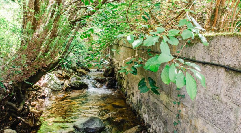 Photo of Wayside Loft