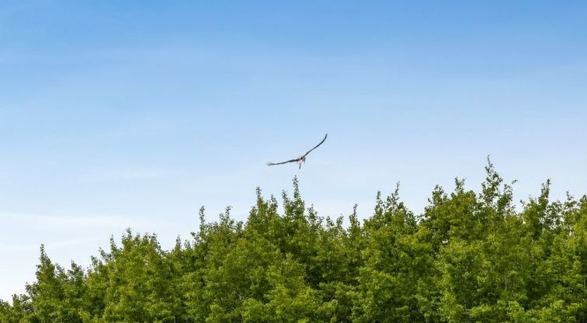 Photo of "Truels" - 30km from the sea