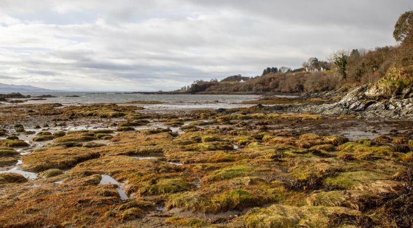Photo of The Old Post Office