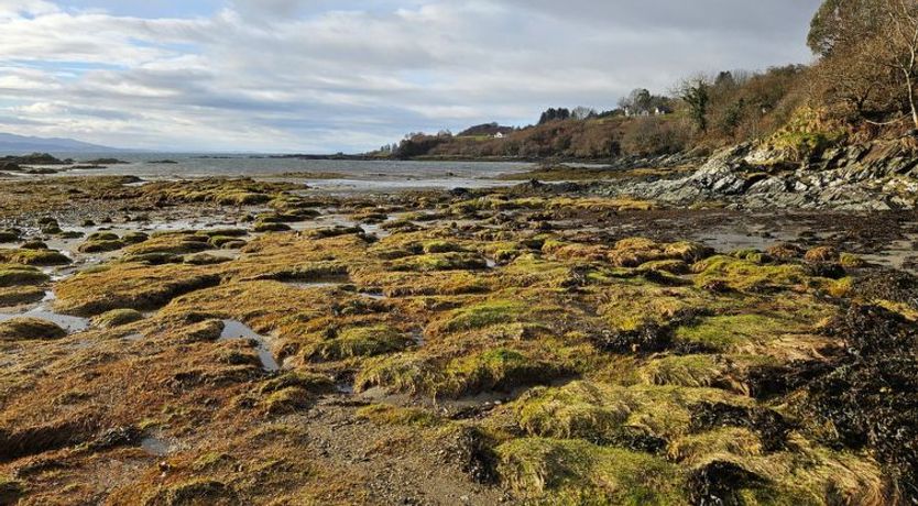 Photo of The Old Post Office