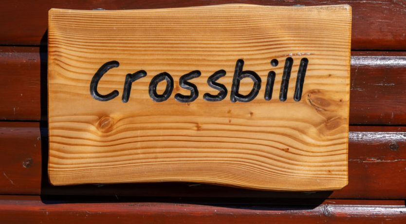 Photo of Crossbill Lodge