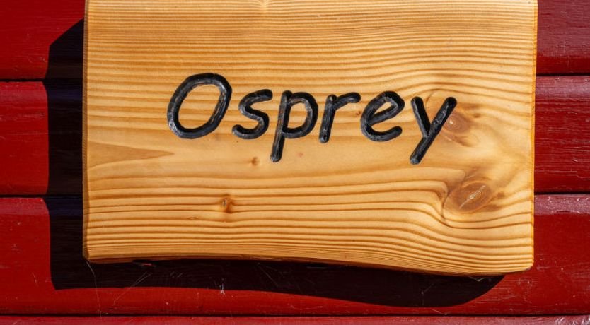 Photo of Osprey Lodge