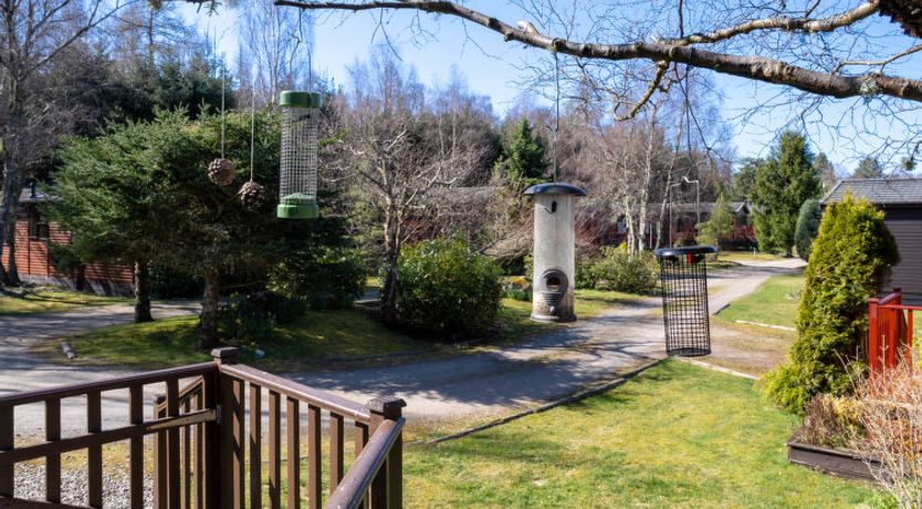 Photo of Woodpecker Lodge