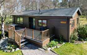 Photo of woodpecker-lodge