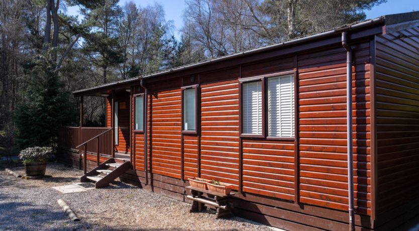 Photo of Pinemarten Lodge