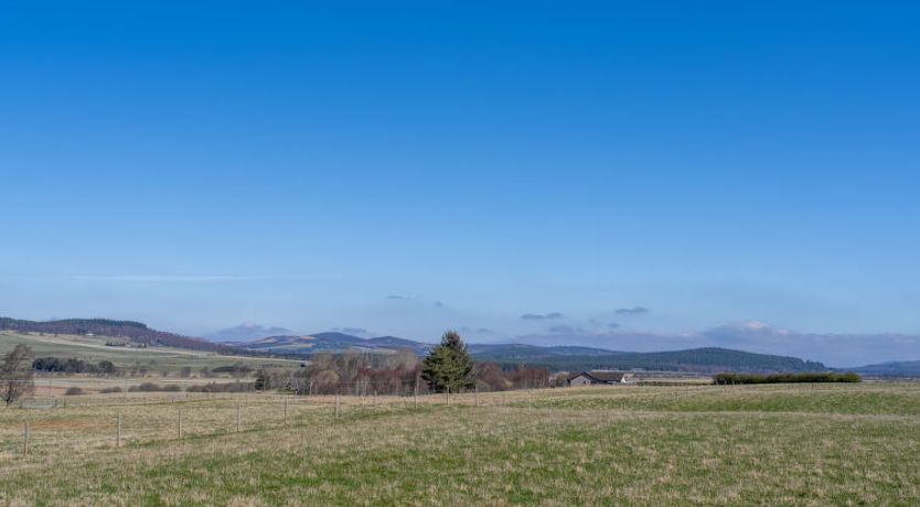 Photo of Capercaillie Lodge