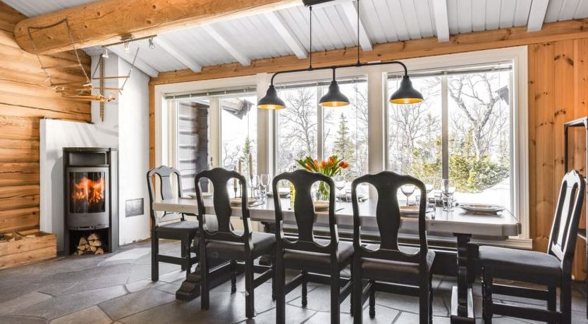 Photo of Fjälldrömmen